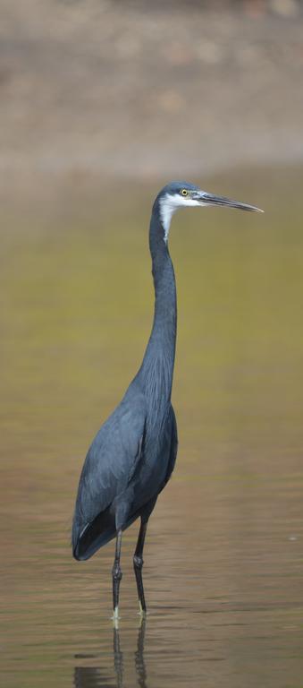 Fathala Wildlife Reserve Toubakouta Экстерьер фото