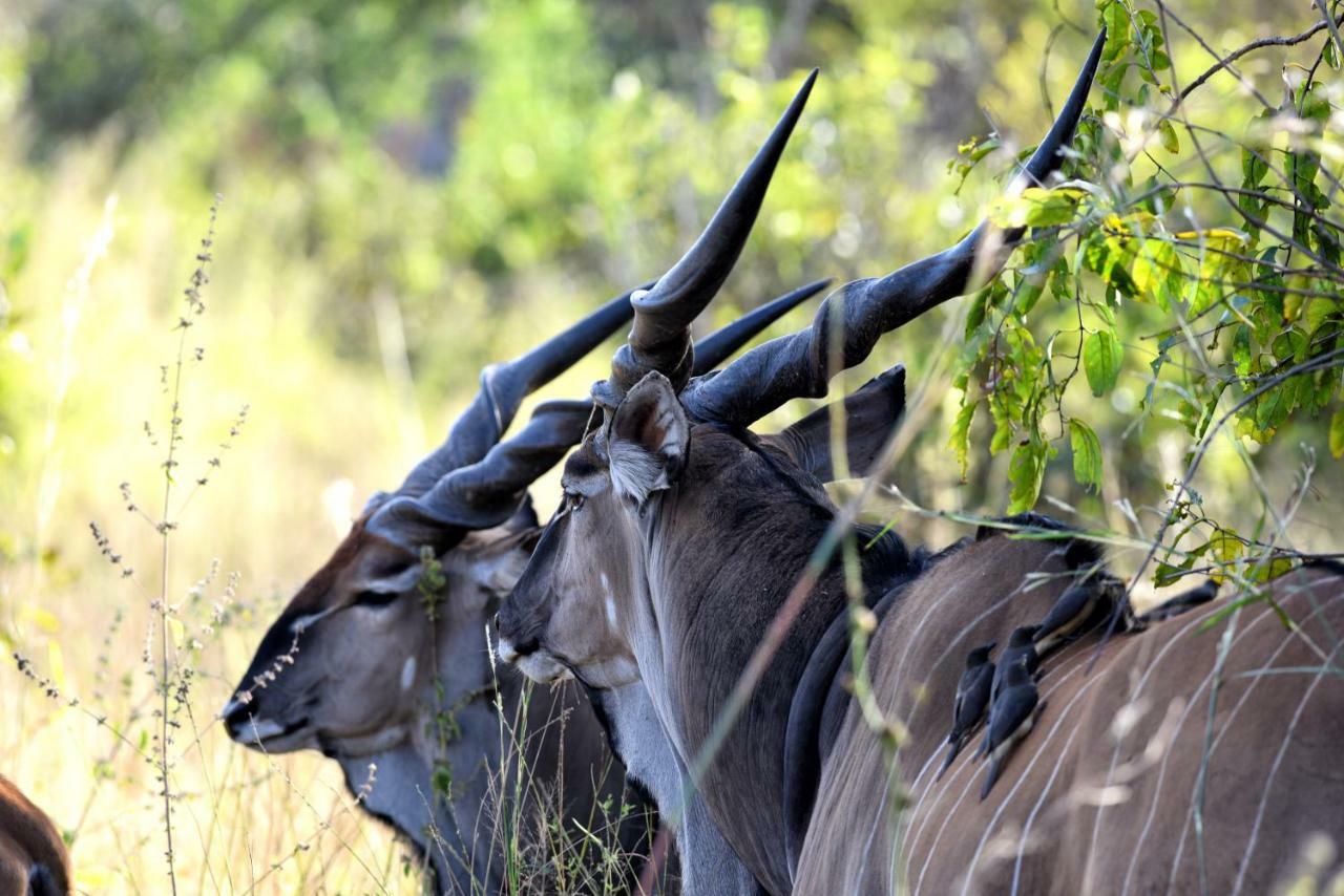 Fathala Wildlife Reserve Toubakouta Экстерьер фото