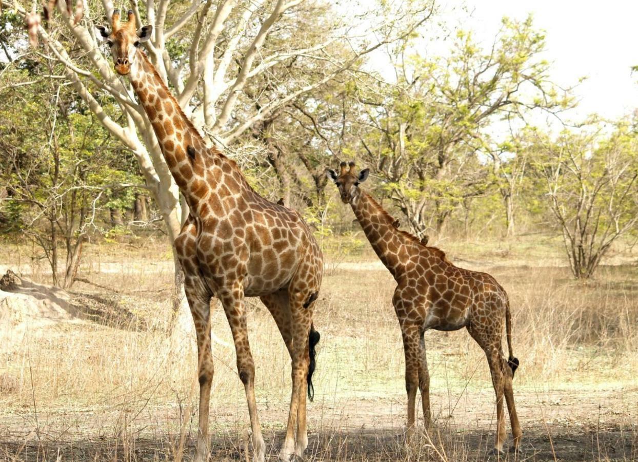Fathala Wildlife Reserve Toubakouta Экстерьер фото