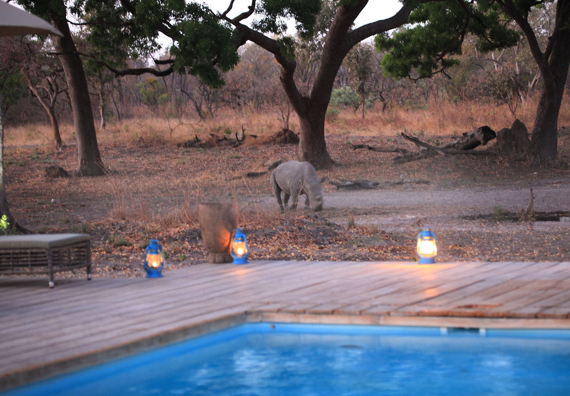 Fathala Wildlife Reserve Toubakouta Экстерьер фото