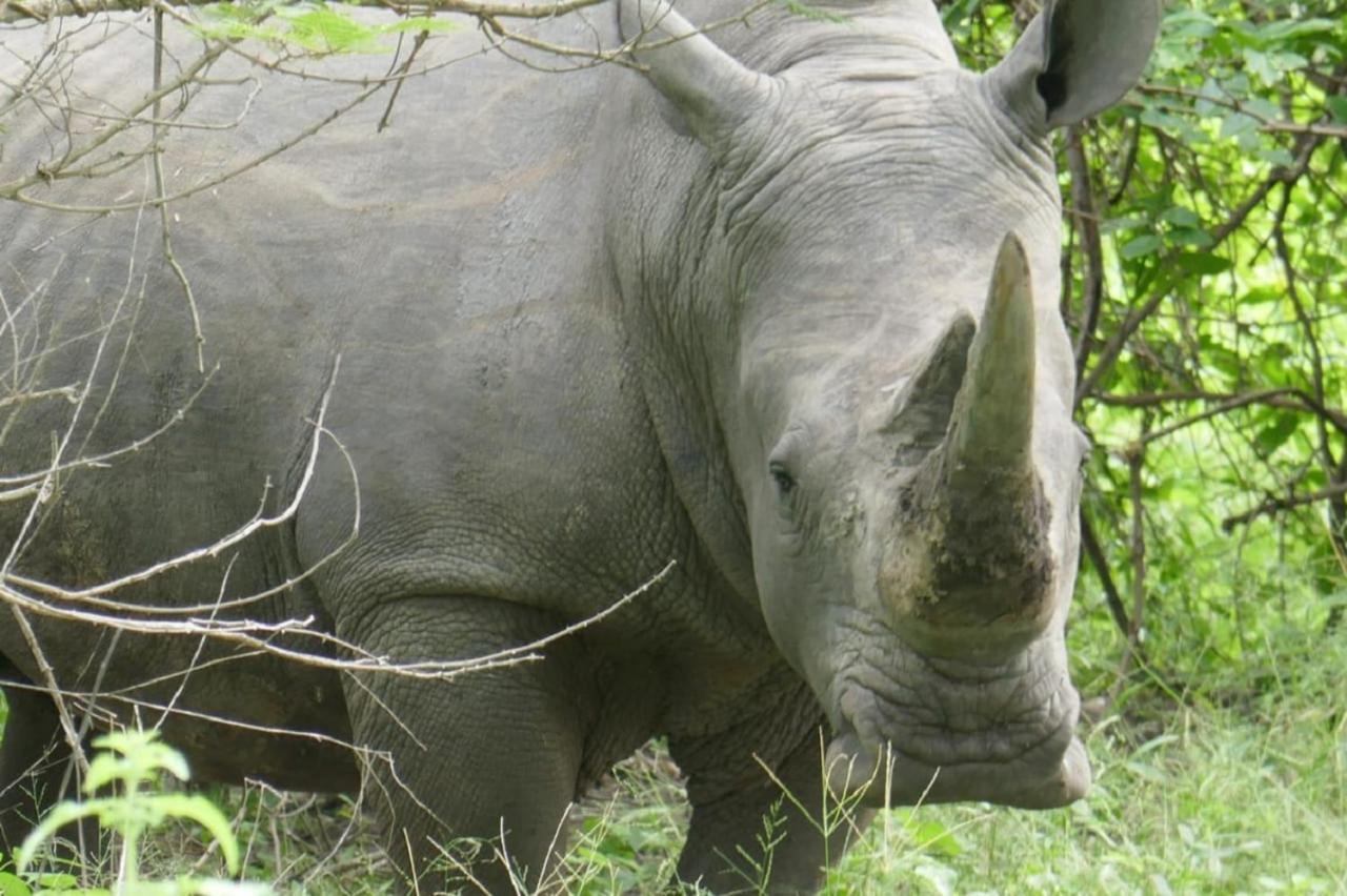 Fathala Wildlife Reserve Toubakouta Экстерьер фото
